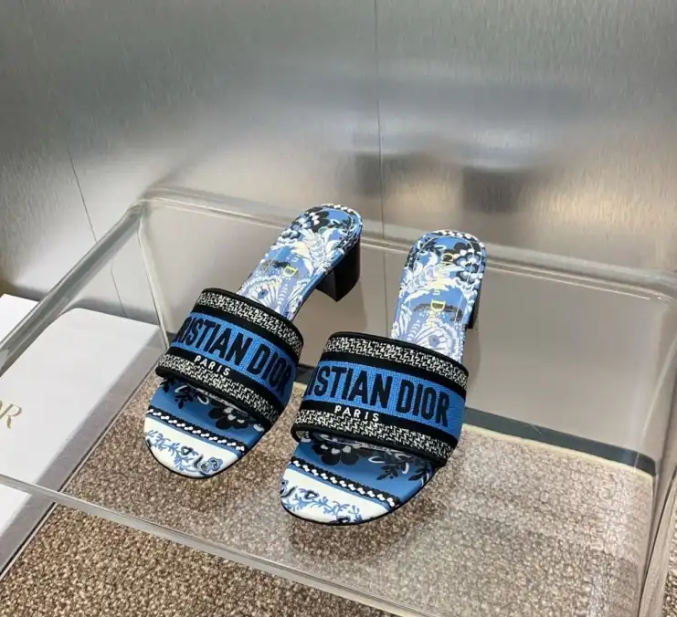 hype Christian Dior Slippers