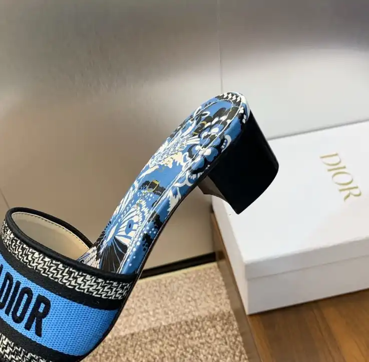 hype Christian Dior Slippers