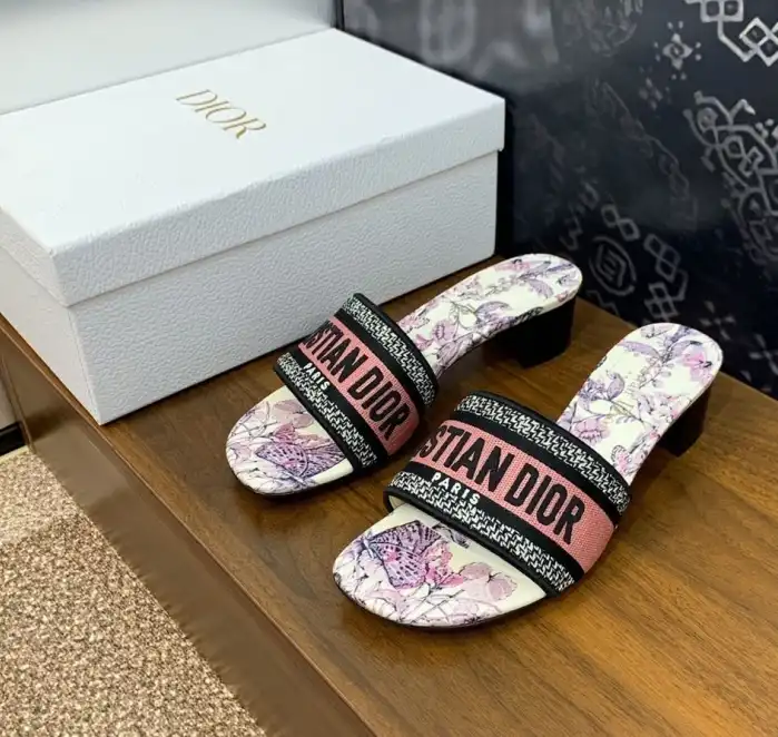 hype Christian Dior Slippers