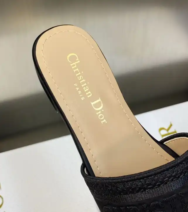 hype Christian Dior Slippers