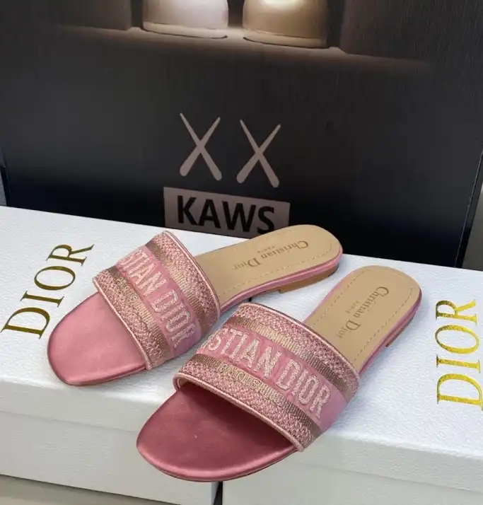 hype Christian Dior Slippers