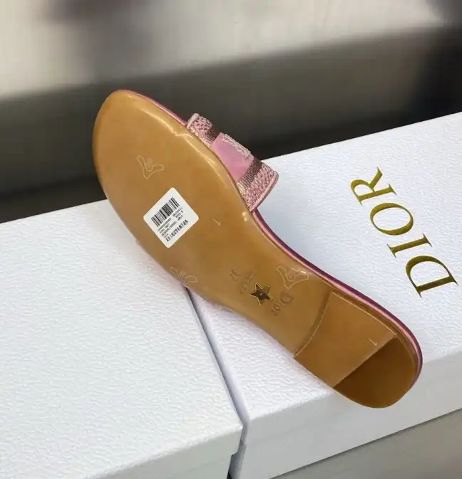 hype Christian Dior Slippers