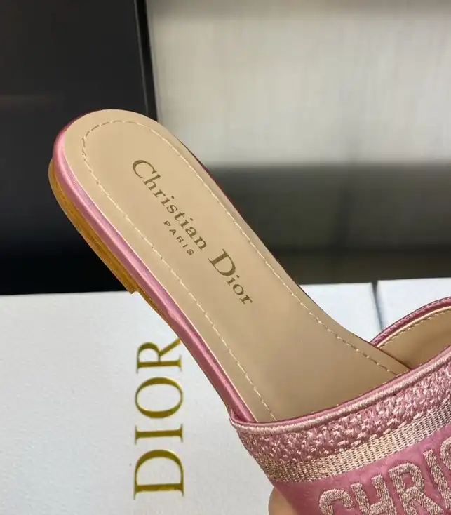 hype Christian Dior Slippers