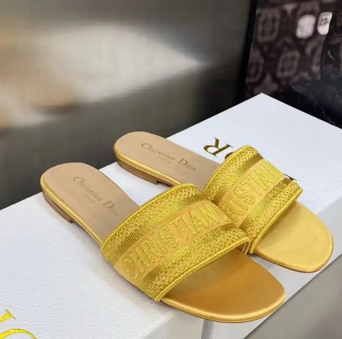 hype Christian Dior Slippers