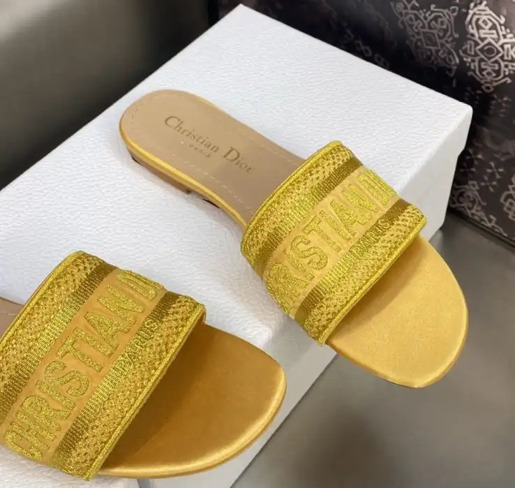 hype Christian Dior Slippers