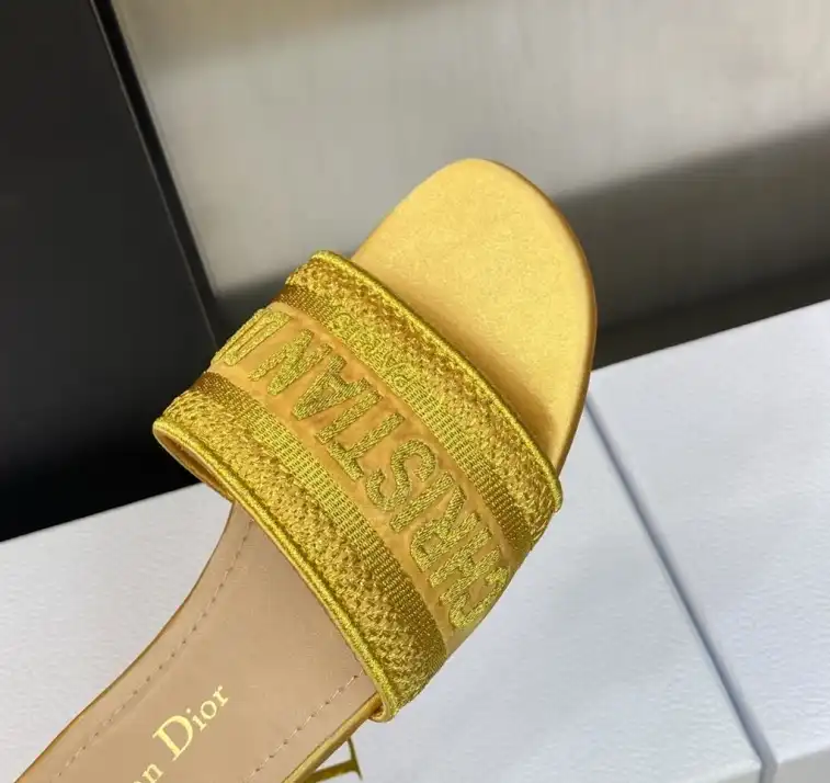 hype Christian Dior Slippers