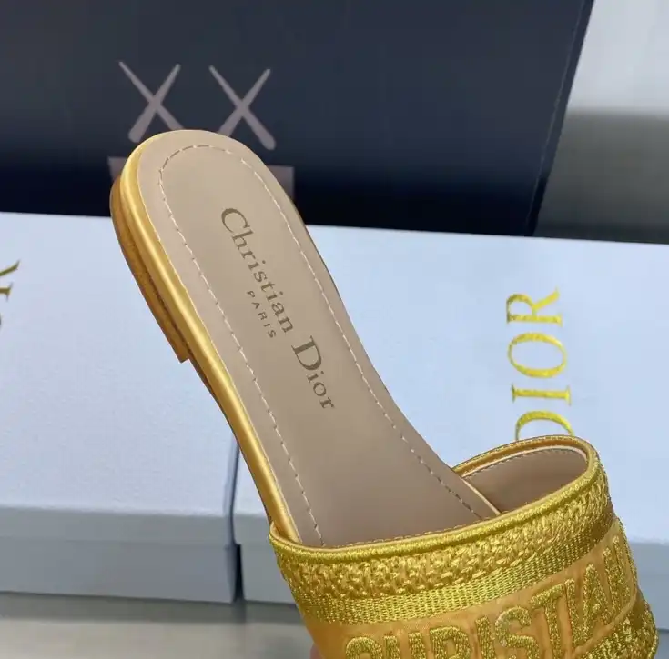 hype Christian Dior Slippers