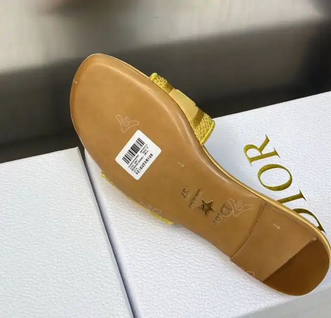 hype Christian Dior Slippers