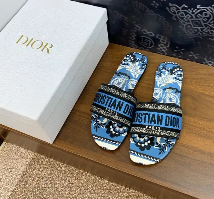 hype Christian Dior Slippers