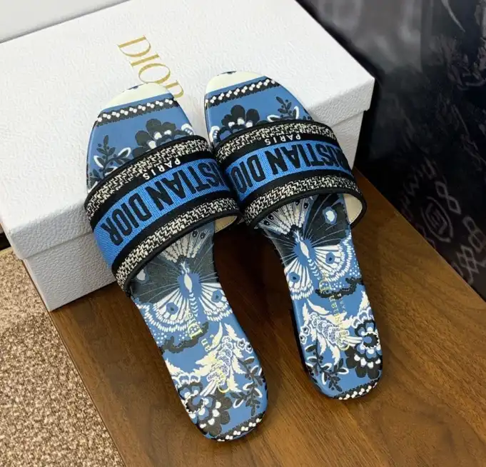 hype Christian Dior Slippers