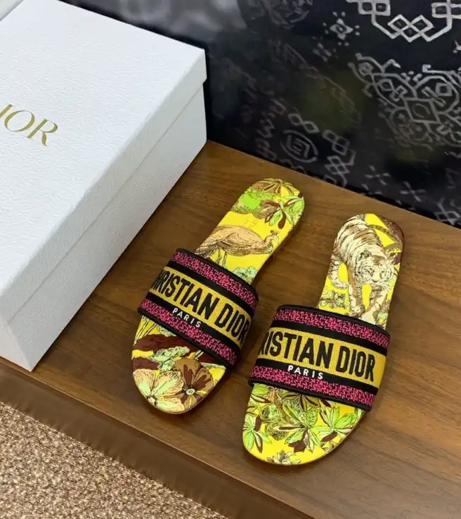 hype Christian Dior Slippers