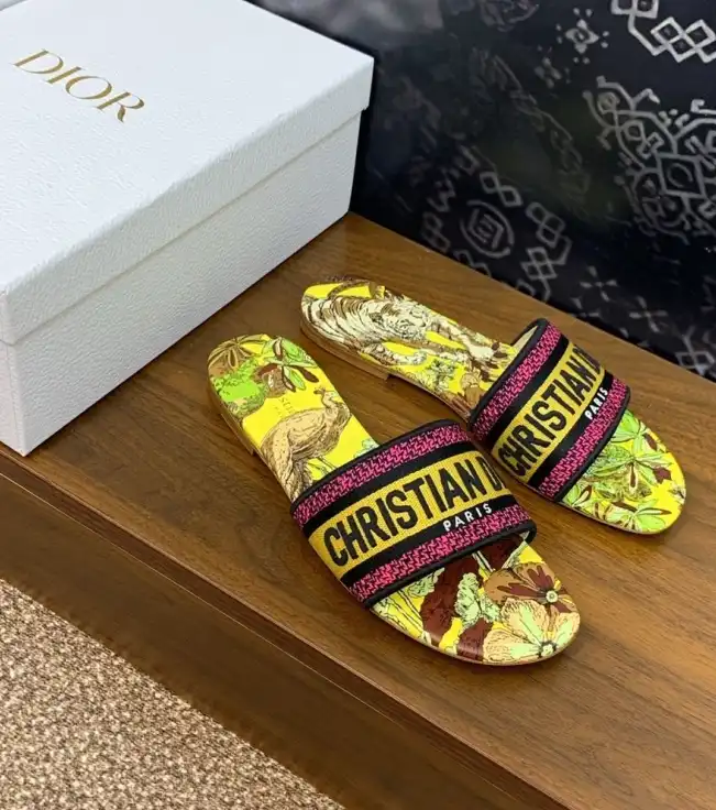 hype Christian Dior Slippers