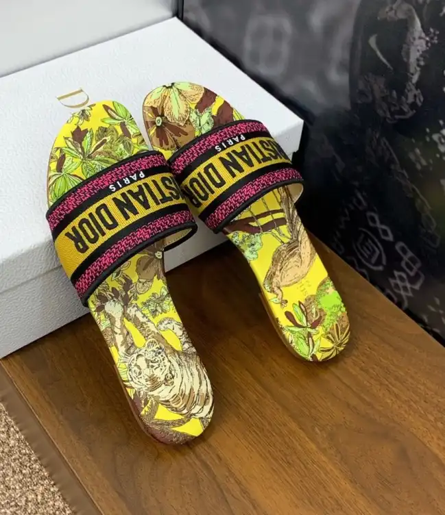 hype Christian Dior Slippers