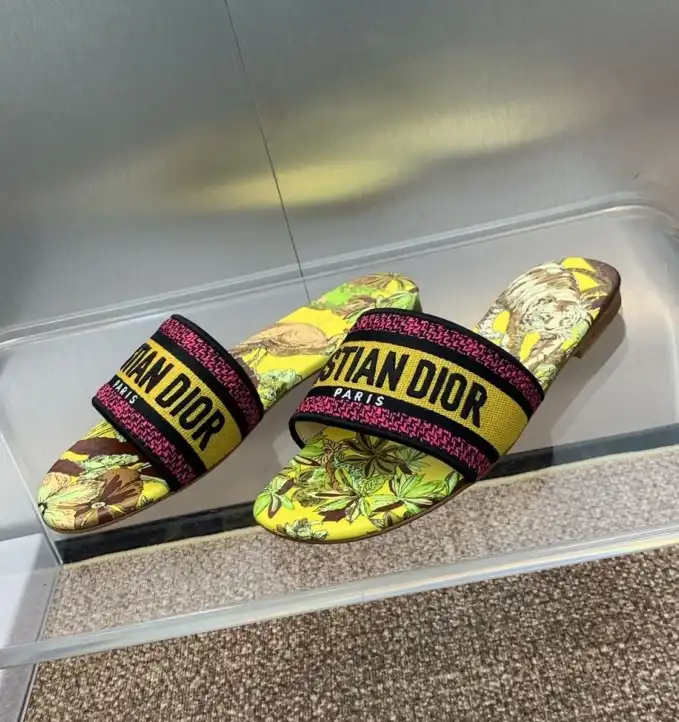 hype Christian Dior Slippers