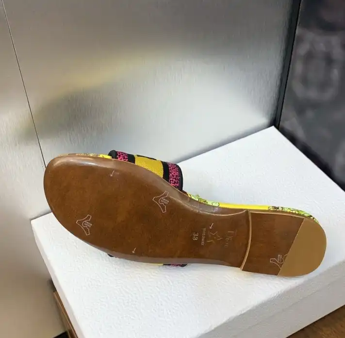 hype Christian Dior Slippers