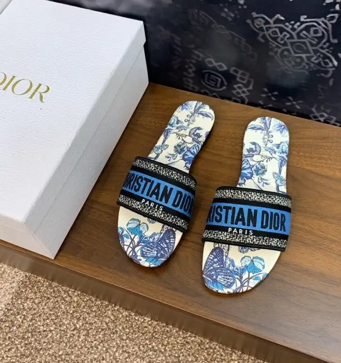 hype Christian Dior Slippers