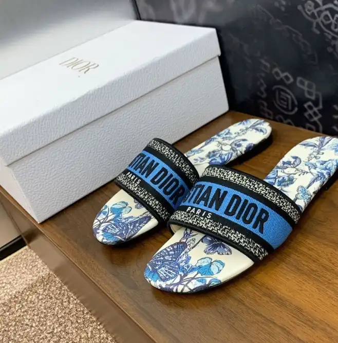 hype Christian Dior Slippers