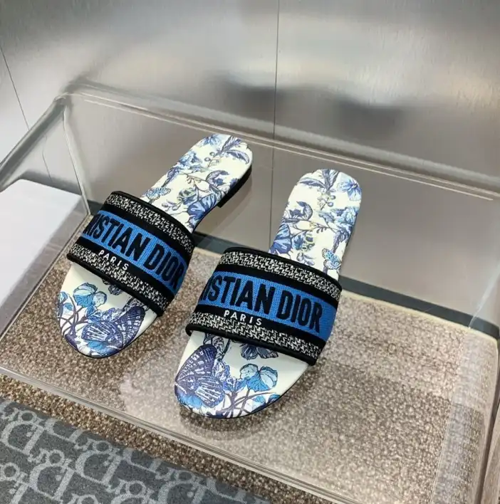 hype Christian Dior Slippers