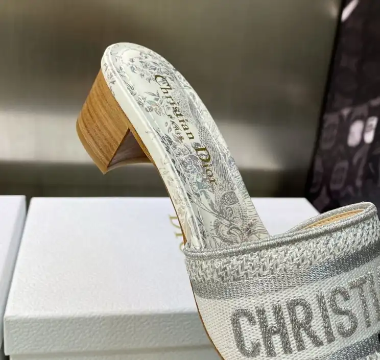 hype Christian Dior Slippers