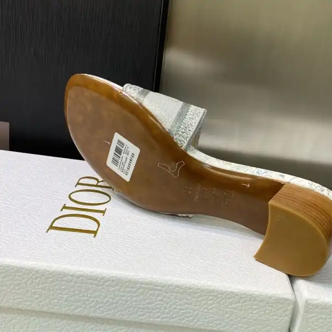 hype Christian Dior Slippers