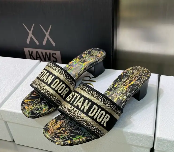 hype Christian Dior Slippers