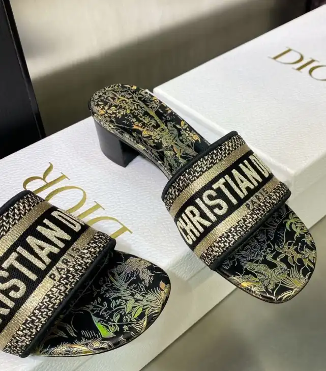 hype Christian Dior Slippers