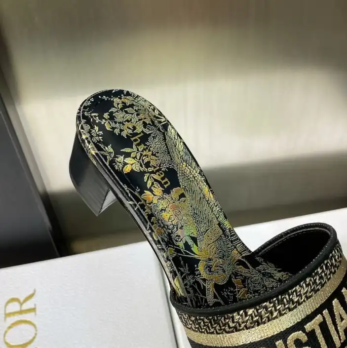 hype Christian Dior Slippers