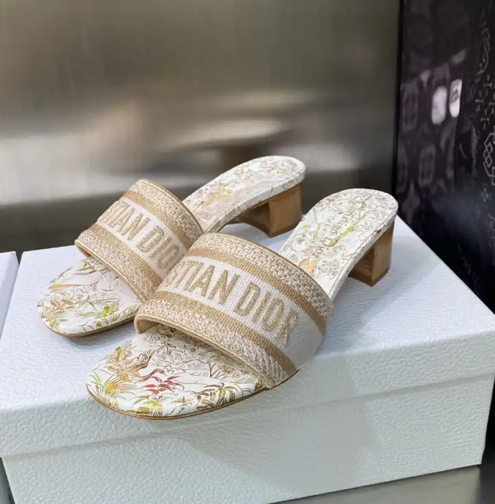 hype Christian Dior Slippers