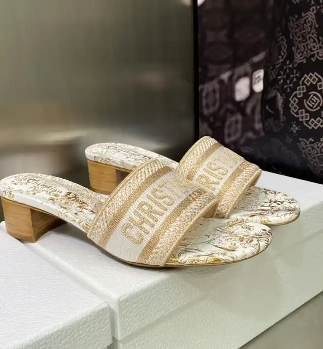 hype Christian Dior Slippers