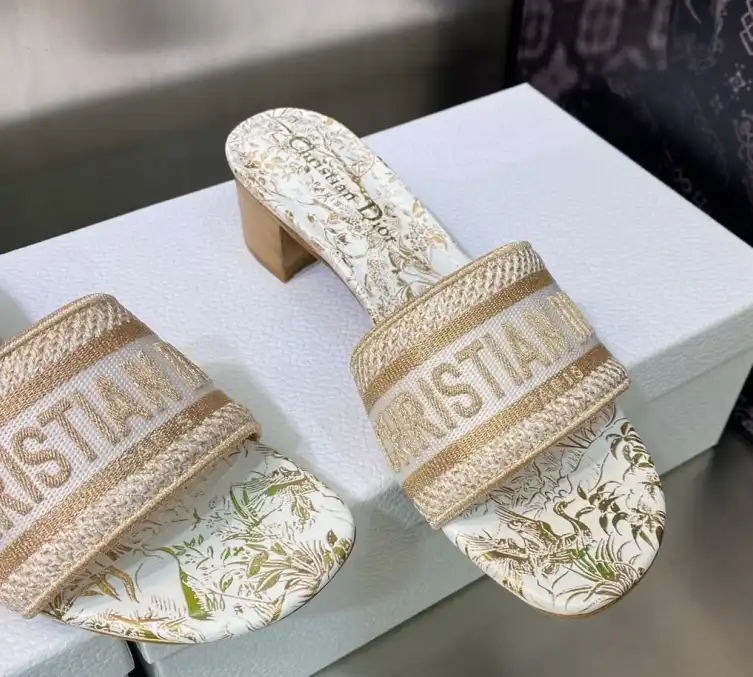 hype Christian Dior Slippers