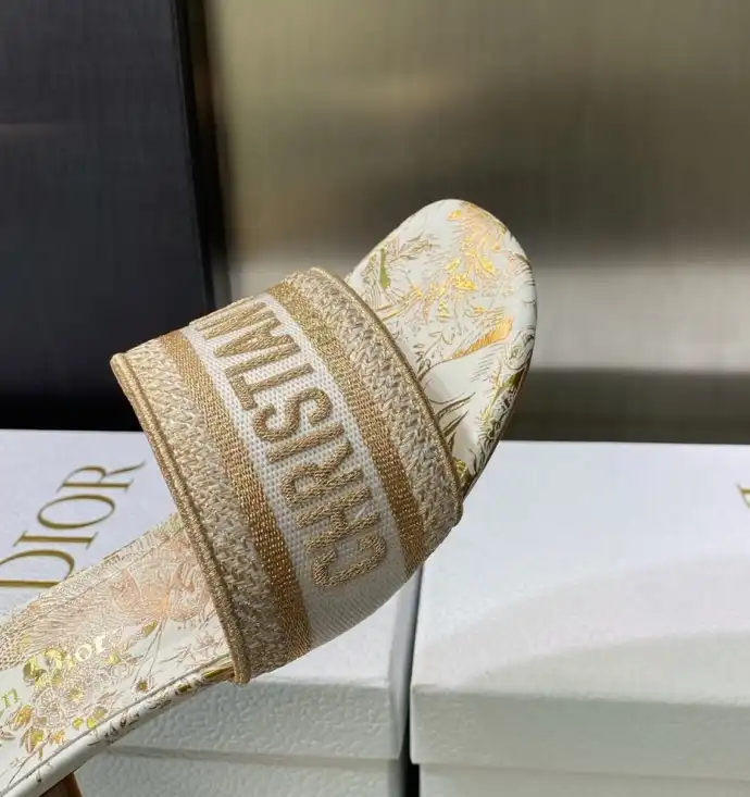 hype Christian Dior Slippers