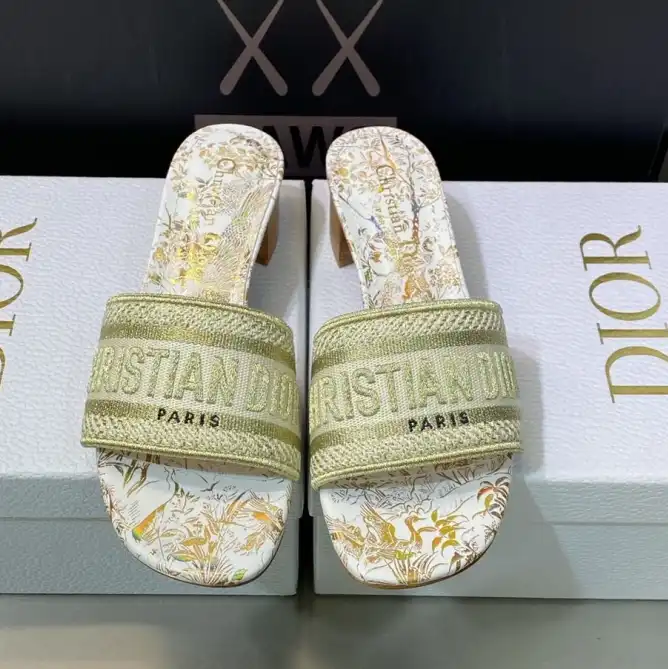 hype Christian Dior Slippers