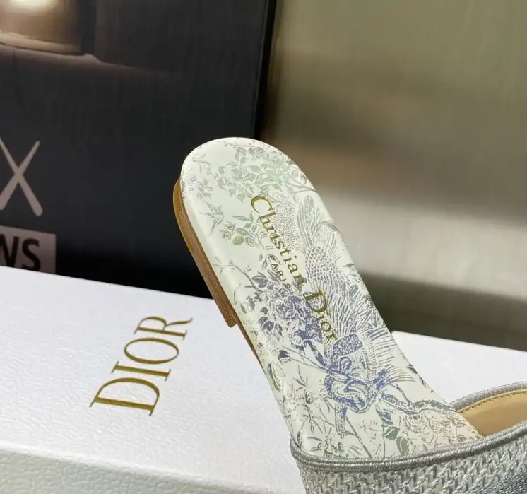 hype Christian Dior Slippers