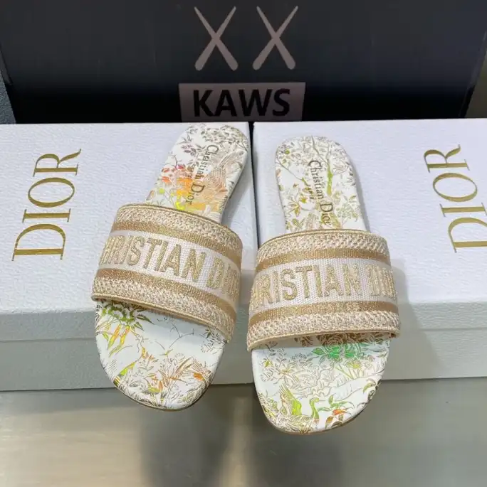 hype Christian Dior Slippers