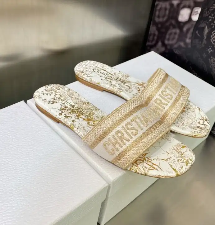 hype Christian Dior Slippers