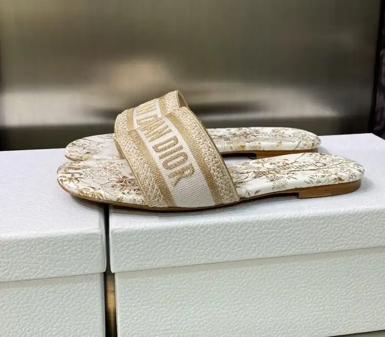 hype Christian Dior Slippers