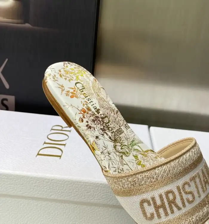 hype Christian Dior Slippers