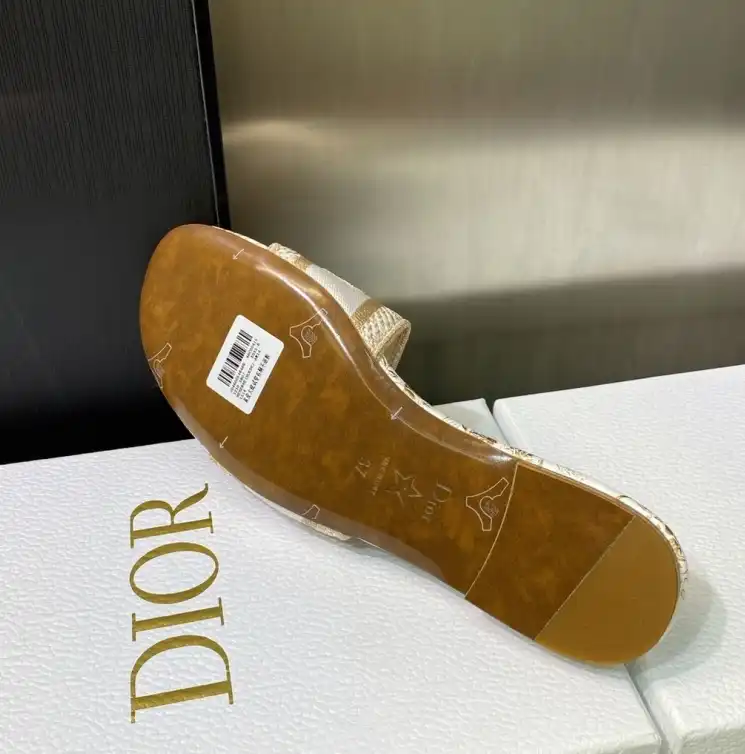 hype Christian Dior Slippers