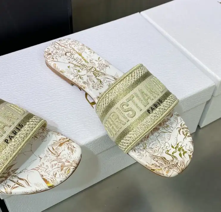 hype Christian Dior Slippers