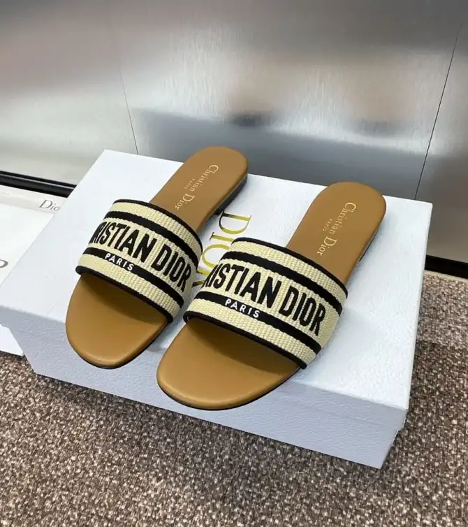 hype Christian Dior Slippers