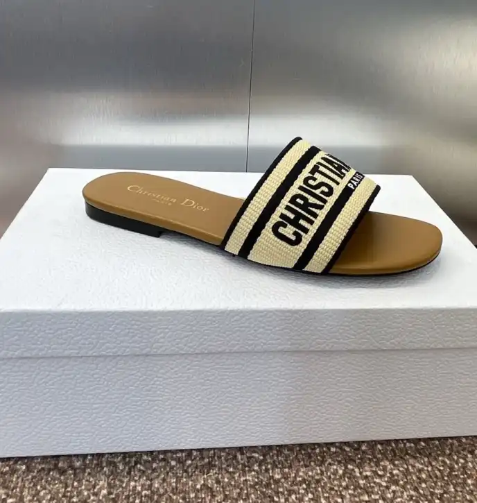 hype Christian Dior Slippers