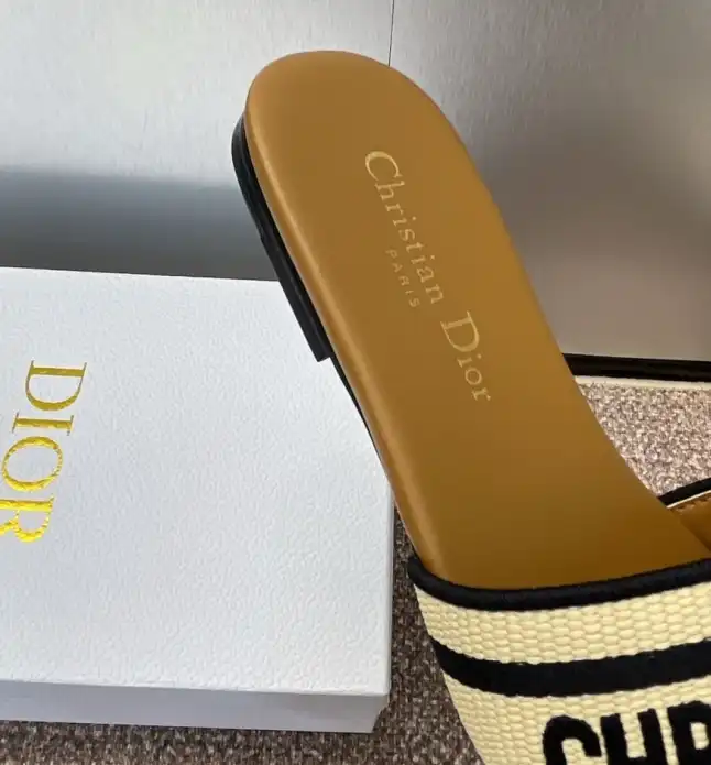 hype Christian Dior Slippers