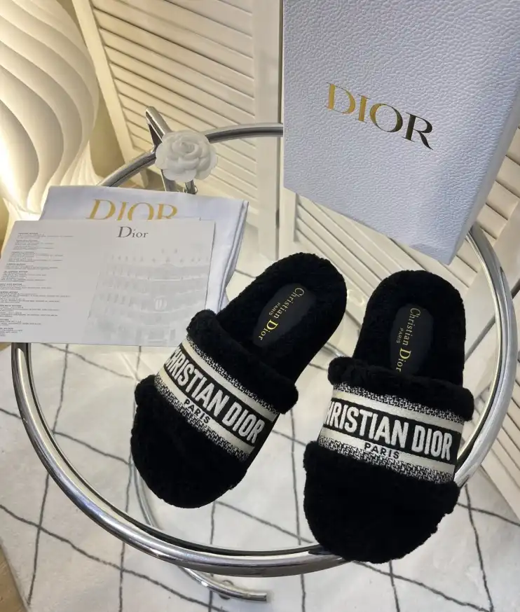 hype Christian Dior Slippers