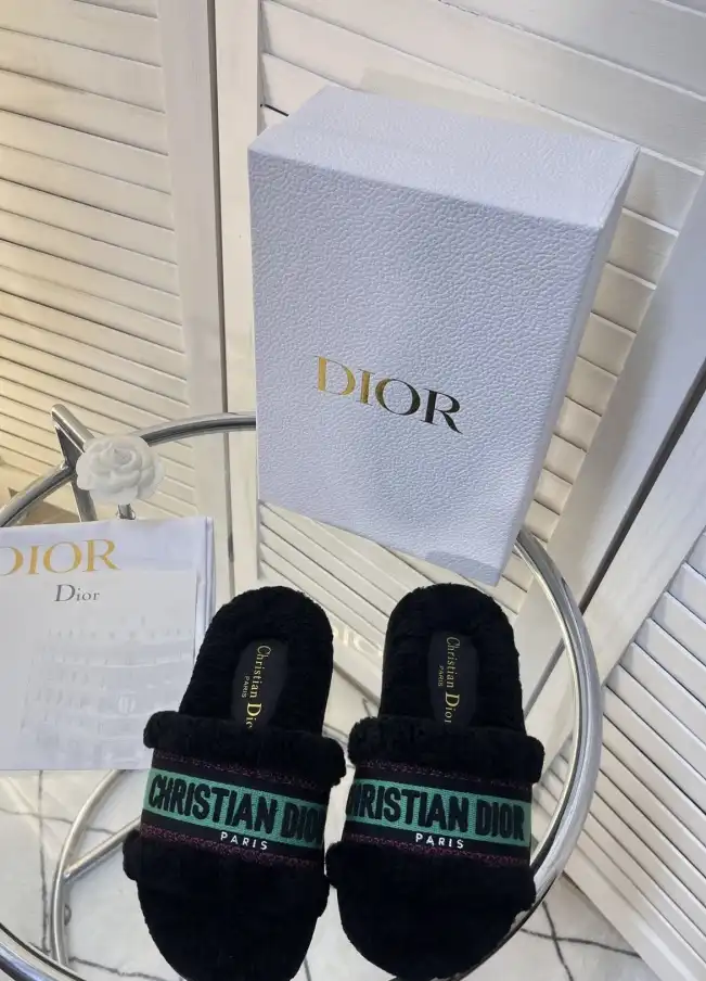 hype Christian Dior Slippers