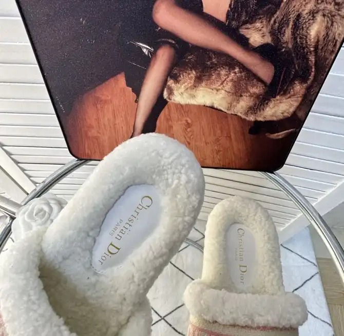 hype Christian Dior Slippers