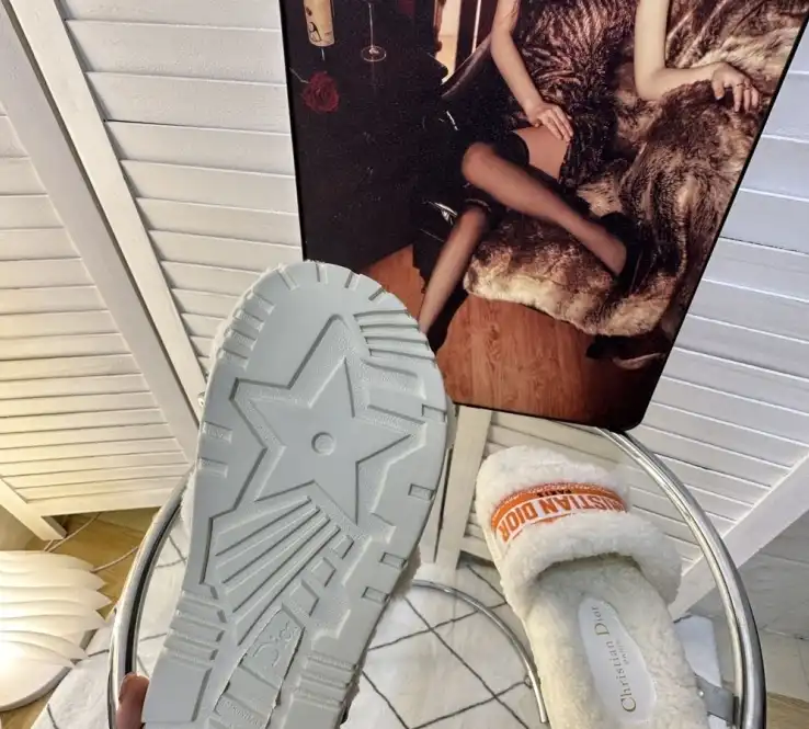 hype Christian Dior Slippers