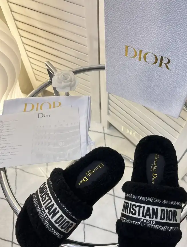 hype Christian Dior Slippers