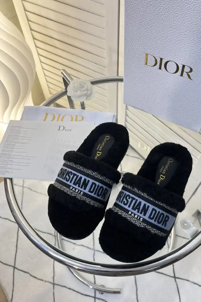 hype Christian Dior Slippers