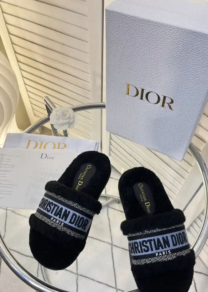 hype Christian Dior Slippers