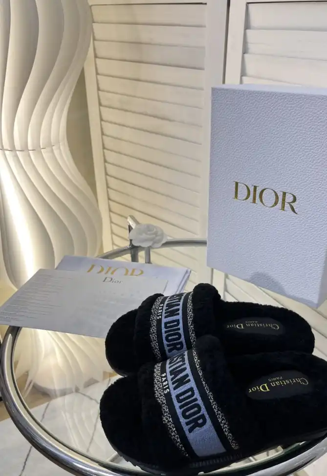 hype Christian Dior Slippers